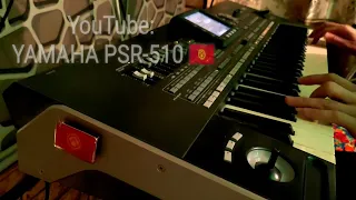 На белом покрывале января cover on KORG PA3X