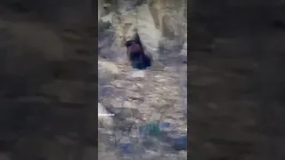 Real giant caught on camera in a cave in Mexico | DARKIVAVERSE