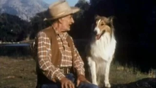 Lassie - Episode #404  - "Just One Old Cow" - Season 12, Ep.19 - 01/23/1966