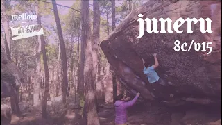 UNCUT: Nacho Sanchez - Juneru (8C/V15)