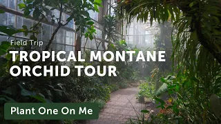 TROPICAL MONTANE ORCHID Tour — Ep. 322