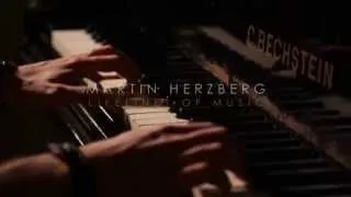 Martin Herzberg - Lifelines of Music (Kanalvorschau)