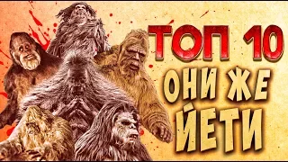 ТОП 10 Фильмы про снежного человека | TOP 10 Sasquatch movie