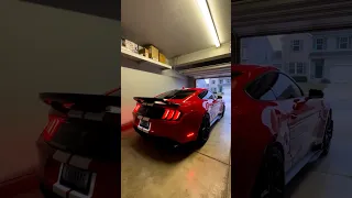 Shelby GT500 Exhaust Sound 🏎️