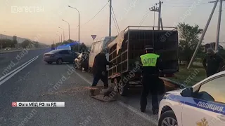 В ДТП в Дагестане погиб 1 человек