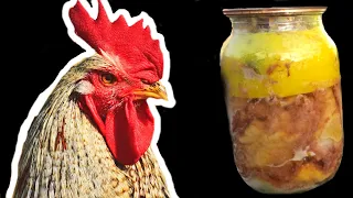 Домашняя тушёнка из курицы в автоклаве Рецепт в домашних условиях
