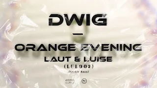 DWIG - Orange Evening // Laut & Luise (LUL007) (treble bass)