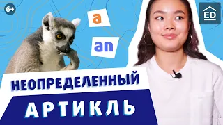 Неопределенный артикль A/AN | Артикли в английском языке | Грамматика английского языка | EnglishDom