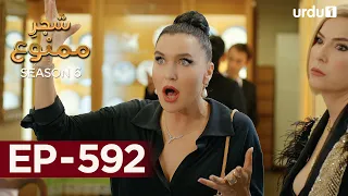 Shajar-e-Mamnu | Episode 592 | Turkish Drama| Forbidden Fruit | Urdu Dubbing | 25 September 2023