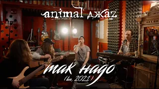 Animal ДжаZ — Так надо (Акустика, Live, 2021)