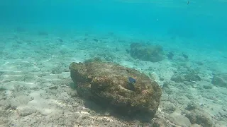 Maldives the aquarium