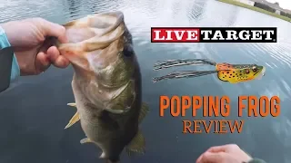 Spring Topwater Madness - Live Target Popping Frog Gets Destroyed