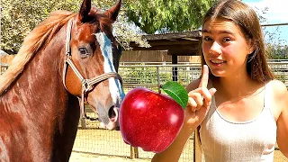 Nastya and Mia Learn animals on the farm | Nastya Artem Mia