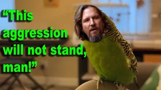 Budgie quotes movie line (from The Big Lebowski) + huge vocabulary!