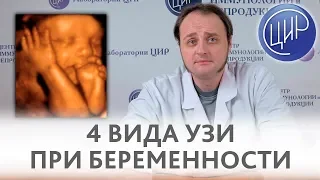 УЗИ в акушерстве. 4 вида УЗИ-диагностики. Что такое 2D, 3D, 4D и 5D УЗИ. Отвечает Воеводин  Ф.С.