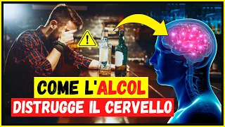 Quali sono gli effetti dell'alcol sul cervello? In che modo l'alcol distrugge il sistema nervoso?