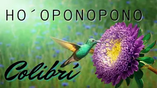 HO´OPONOPONO PARA LA ABUNDANCIA ☘ Colibrí para el Dinero, Prosperidad  y el Éxito