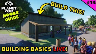 Planet Zoo Beginner's Guide: Building Basics & Answering Viewer Questions LIVE!