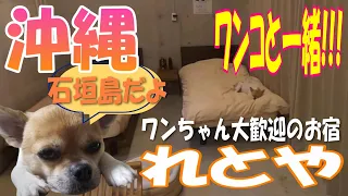 [Ishigaki Island] [Retoya] [Okinawa Travel] [Hotel] [Pets Allowed] Quiet Inn in Shiraho