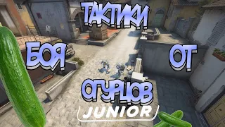 ТАКТИКИ БОЯ ОТ ОГУРЦОВ JUNIOR # ВЫПУСК 1 CS:GO