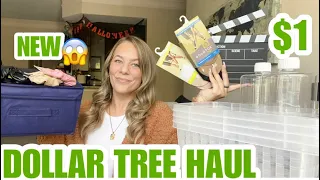 DOLLAR TREE HAUL | NEW | BRAND NAME ITEMS | AMAZING FINDS