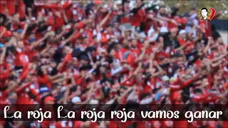 Ultras Fanatic Reds : All in  [ Live ]