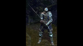 More on the Dark Souls Two-Handed Sword position