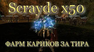 Scrayde x50 / Фарм Кариков ТИРОМ  (Grand Khavatari) / 50kkk АДЕНЫ+++ за 6 часов