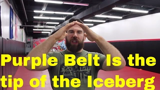 What to Focus on as a Purple Belt in BJJ (The Prototype Belt)