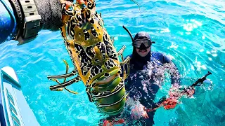 Spearfishing for Crayfish, Coral Trout, Tuskfish on the Great Barrier Reef Whitsundays - Sharkbanz