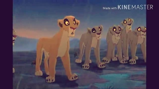 Rainbow ~ {Vent} For •Love lion king and guard•