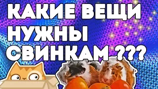 КАКИЕ ВЕЩИ НУЖНО КУПИТЬ ДЛЯ МОРСКИХ СВИНОК / ВЕЩИ МОРСКИХ СВИНОК