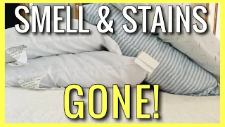 How to Wash PILLOWS & Remove Stains WITHOUT A WASHING MACHINE!! (Cleaning Hacks) | Andrea Jean