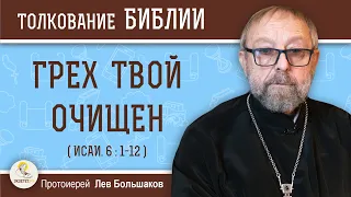 Грех твой очищен (Исаи. 6:1-12)  Протоиерей Лев Большаков