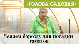 Голова садовая - Делаем борозду для посадки томатов