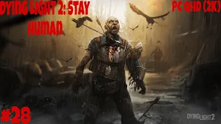 Прохождение Dying Light 2: Stay Human — Часть 28 ➤ Дайн Лайт 2 ПРОХОЖДЕНИЕ ✪ PC QHD (2K)