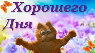 Желаю хорошего дня! Лови позитив и улыбайся! Красивое пожелание!