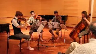 The Lord of the Rings for String quartet [HD] - IV. The Battle for Middle Earth