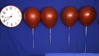 How To Make Helium Balloons Float The Longest