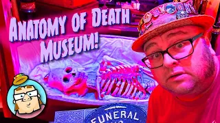 Anatomy of Death Museum - Amazing Collection of Skeletons and Funeral Artifacts - Mount Clemens, MI