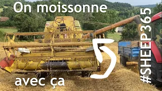 On a acheté un MOISSONNEUSE 🌾🌾🌾