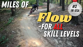 MTB Flow Trail is #2 in USA! Best of Dupont State Forest MTB - Ridgeline, Hooker, Hickory Mountain