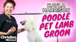 Kayla Harrison | How to do a Pet Lamb Groom on a Poodle