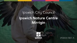 Ipswich Nature Centre - Mirrigin