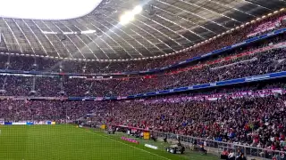 Bayern Munich Allianz Arena Goal Celebrataion