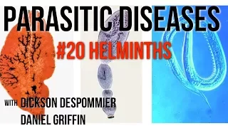 Parasitic Diseases Lectures #20: Helminths