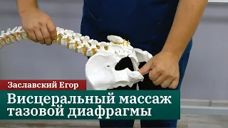 Висцеральный массаж тазовой диафрагмы. Коррекция копчика. Заславский Егор