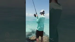 Boca grande beach fishing #fishing #shortsviral #bocagrande #fish