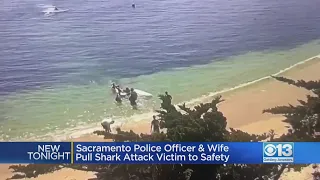 Sacramento Police Officer And His Wife Helped Save Shark Attack Victim Off Central California Coast