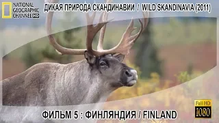 Дикая природа Скандинавии (2011) 5  Финляндия ⁄ Finland 1080p